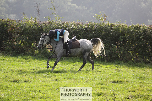 Hurworth Hunt Hedge Hop 289