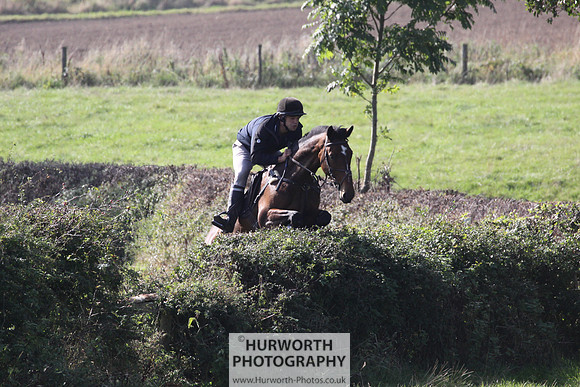 Hurworth Hunt Hedge Hop 460