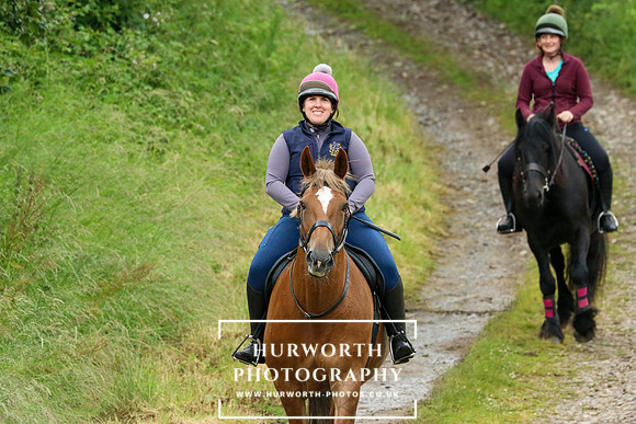 Pleasure Ride 178