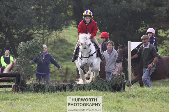 Hurworth Hunt Hedge Hop 004