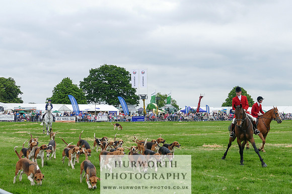 Hurworth Hunt 4