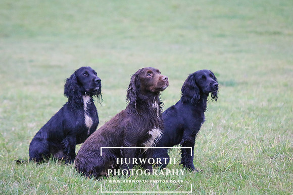 Kirk Yetholm 311