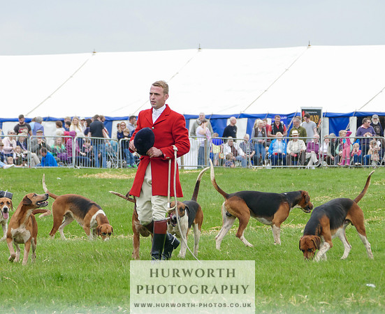 Hurworth Hunt 26