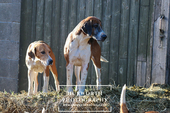 Hurworth Hunt 19