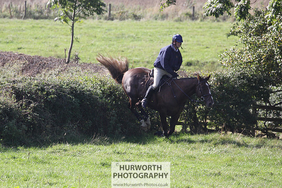 Hurworth Hunt Hedge Hop 454