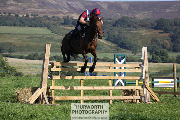 Hurworth Hunt Hedge Hop 542