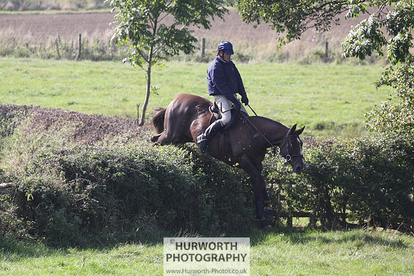 Hurworth Hunt Hedge Hop 452