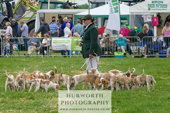 Hurworth Hunt 38
