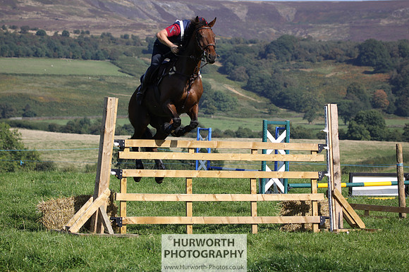 Hurworth Hunt Hedge Hop 541
