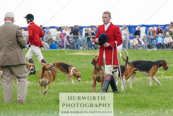 Hurworth Hunt 25