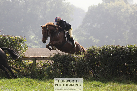 Hurworth Hunt Hedge Hop 282
