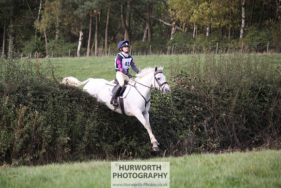 Hurworth Bilsdale Hedge Hop 629