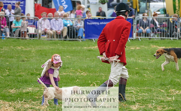 Hurworth Hunt 35