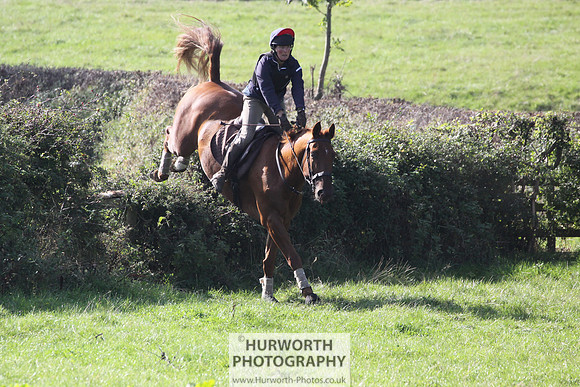 Hurworth Hunt Hedge Hop 456