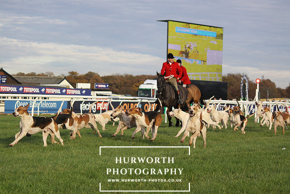 Countryside Raceday 146