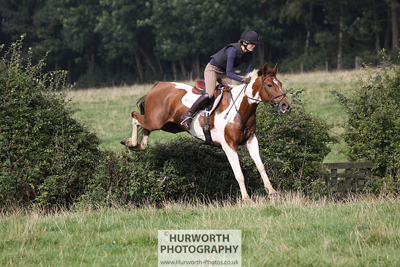 Hurworth Hunt Hedge Hop 271