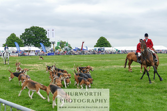 Hurworth Hunt 6