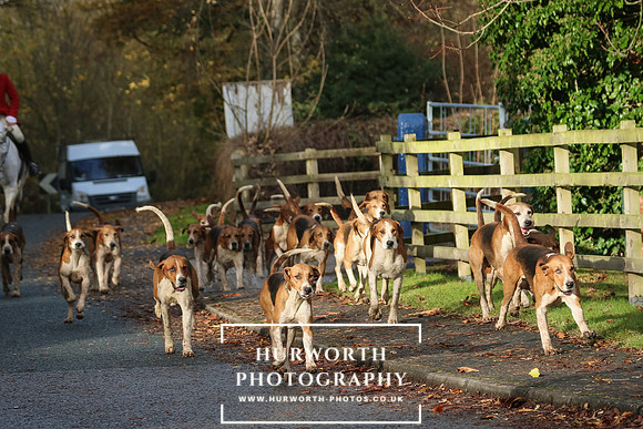 Hurworth Hunt  172