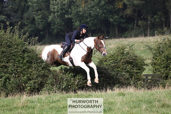 Hurworth Hunt Hedge Hop 266