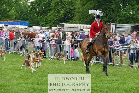 Hurworth Hunt 44