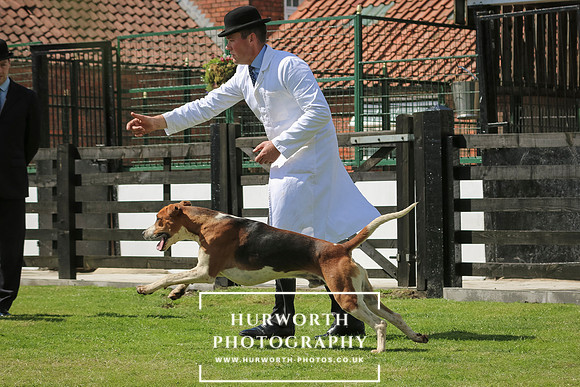 Hurworth Hunt 82