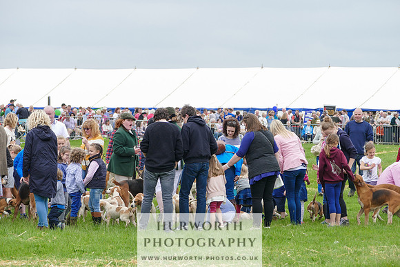 Hurworth Hunt 33