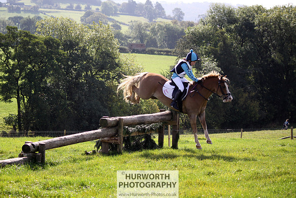 Hurworth Bilsdale Hedge Hop 284