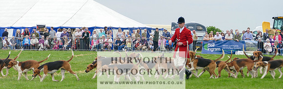 Hurworth Hunt 22
