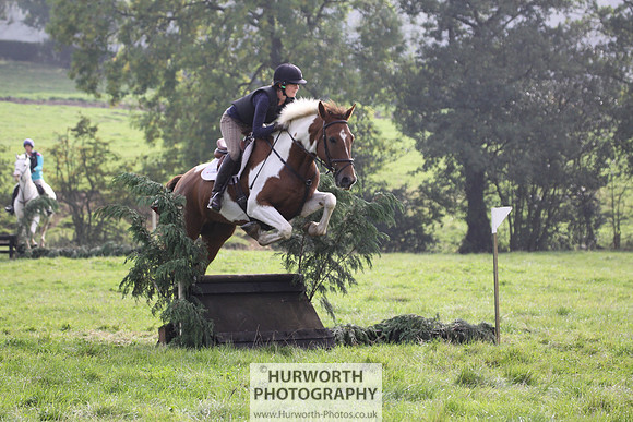 Hurworth Hunt Hedge Hop 261