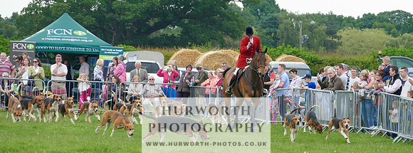 Hurworth Hunt 43