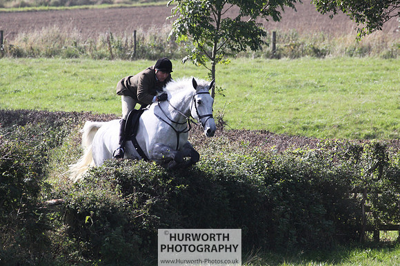 Hurworth Hunt Hedge Hop 458