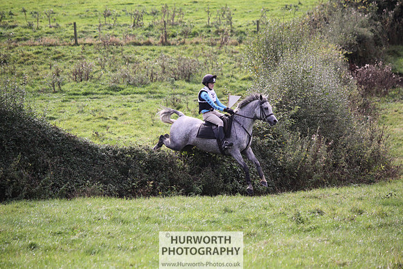 Hurworth Bilsdale Hedge Hop 624