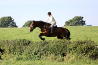 Hurworth Hunt Hedge Hop 443