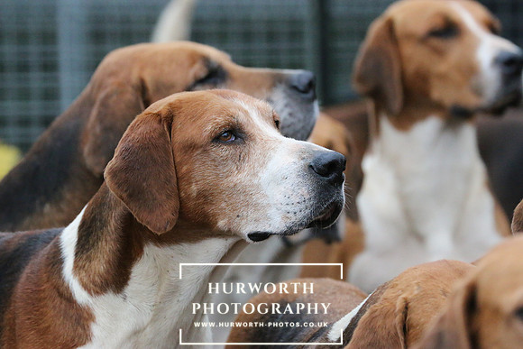Hurworth Hunt  96