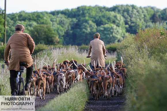 Hurworth Hunt 070