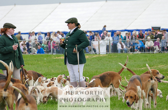 Hurworth Hunt 32