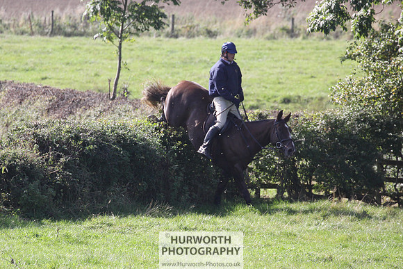 Hurworth Hunt Hedge Hop 453
