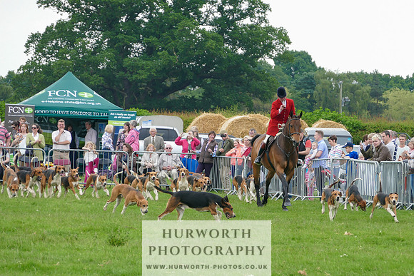 Hurworth Hunt 42