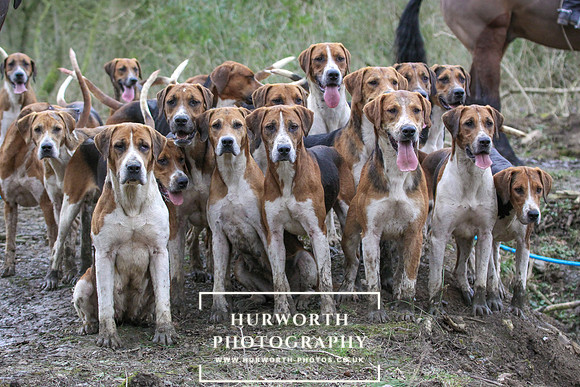 Hurworth Hunt 538
