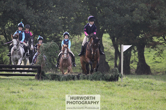 Hurworth Hunt Hedge Hop 030