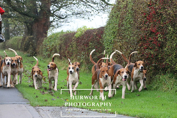 Hurworth Hunt  20