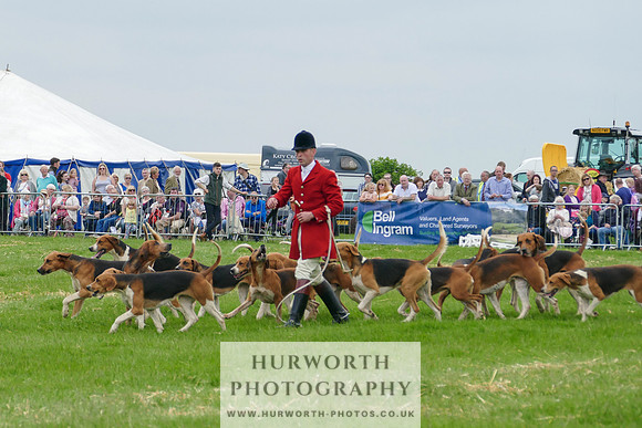 Hurworth Hunt 21