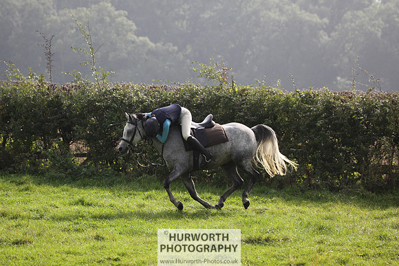 Hurworth Hunt Hedge Hop 288