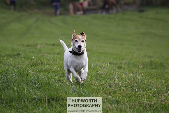 Hurworth Hunt Hedge Hop 098