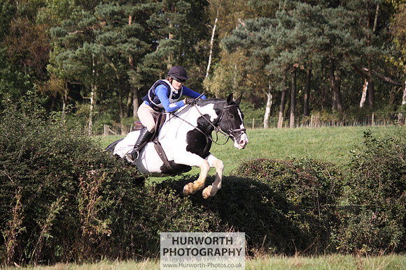 Hurworth Bilsdale Hedge Hop 311