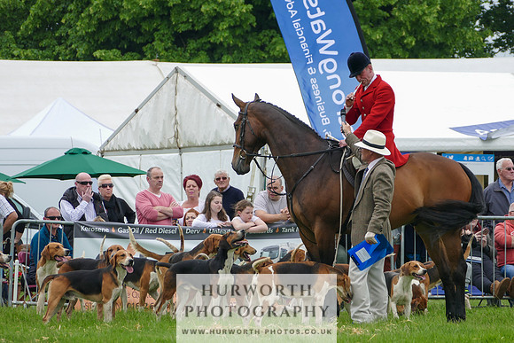 Hurworth Hunt 39