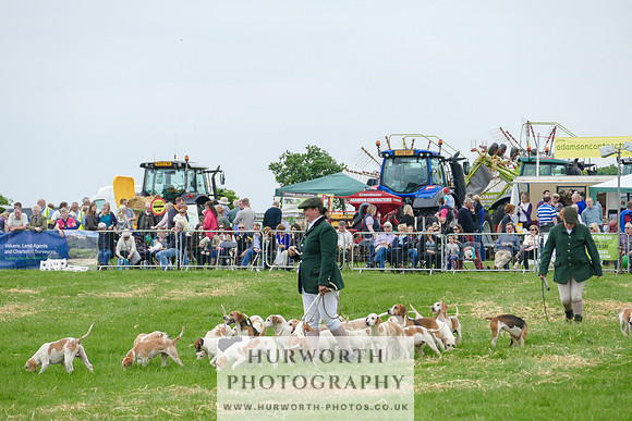 Hurworth Hunt 41