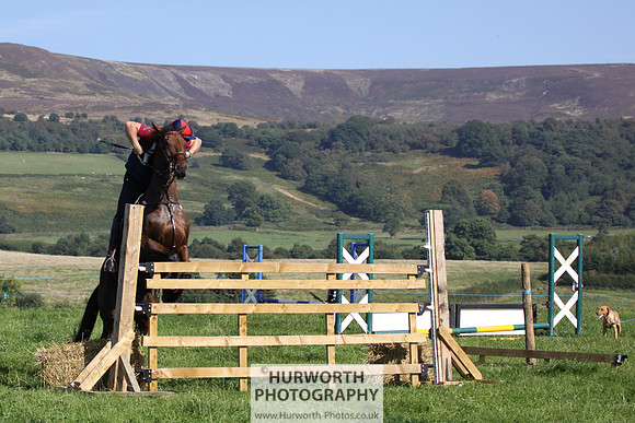 Hurworth Hunt Hedge Hop 534
