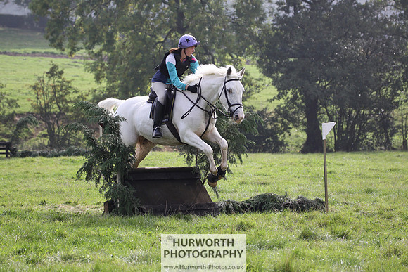 Hurworth Hunt Hedge Hop 264