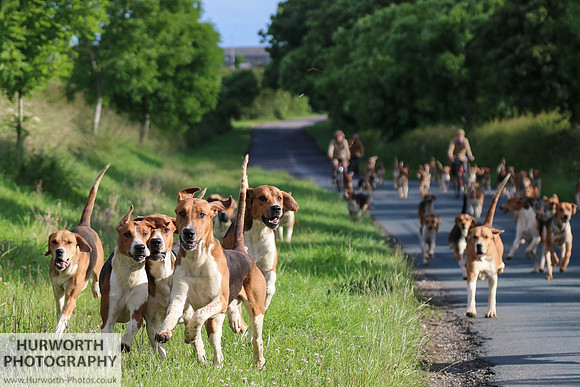 Hurworth Hunt 030